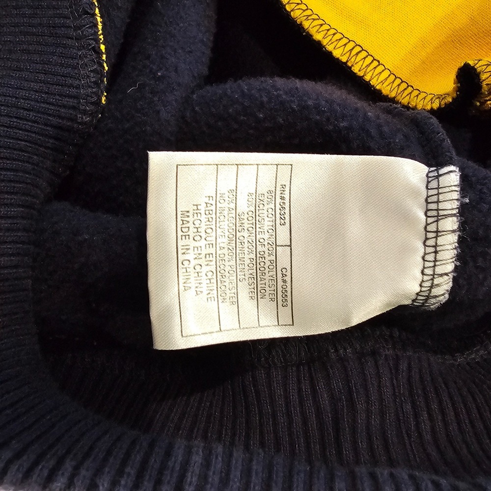 VTG Nike Team West Virginia Mountaineers Hoodie Center Swoosh NCAA Y2K Size L - Picture 12 of 12